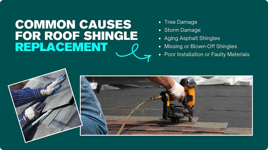 Reasons to Replace Roof Shingles