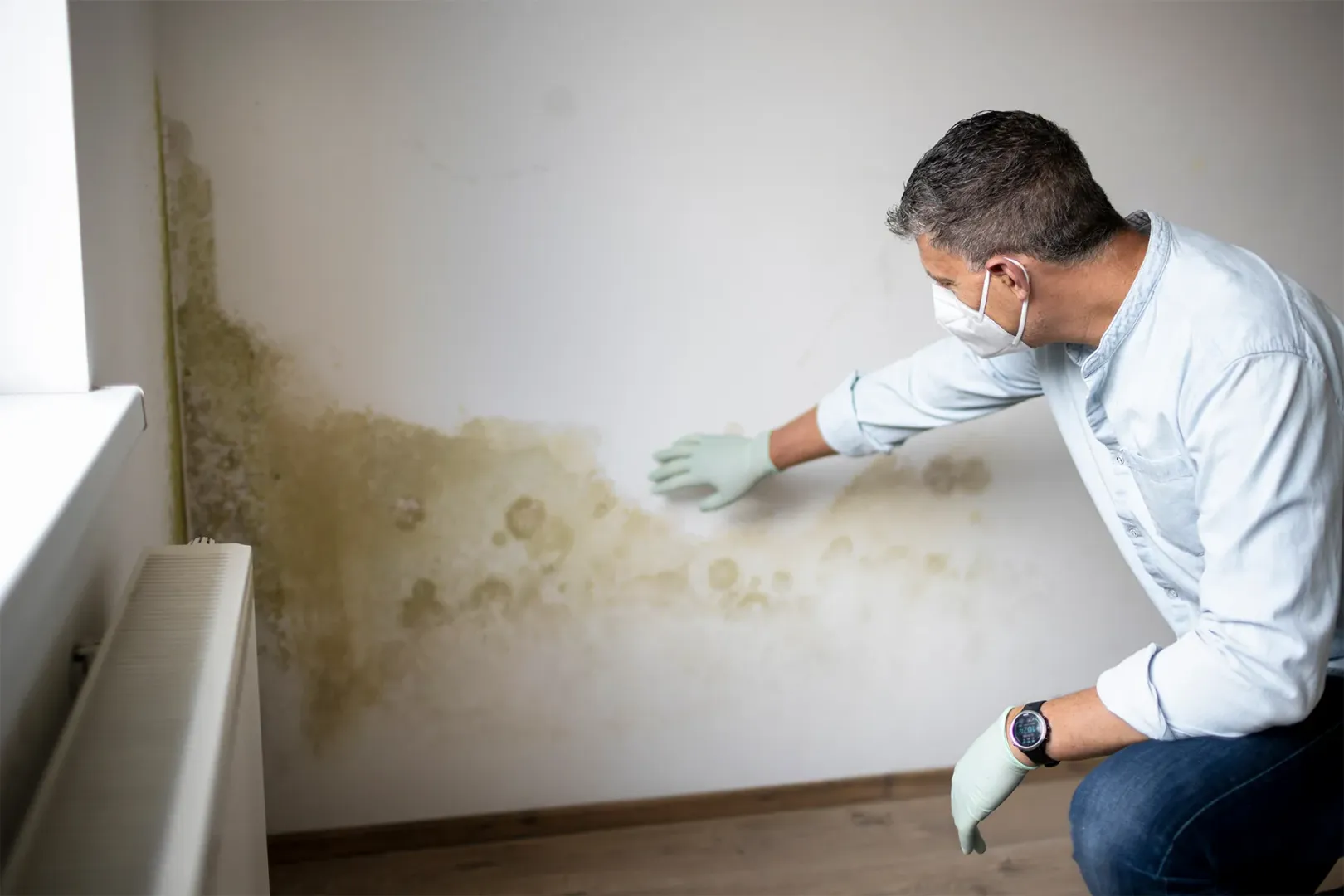 Mold and Mildew Prevention